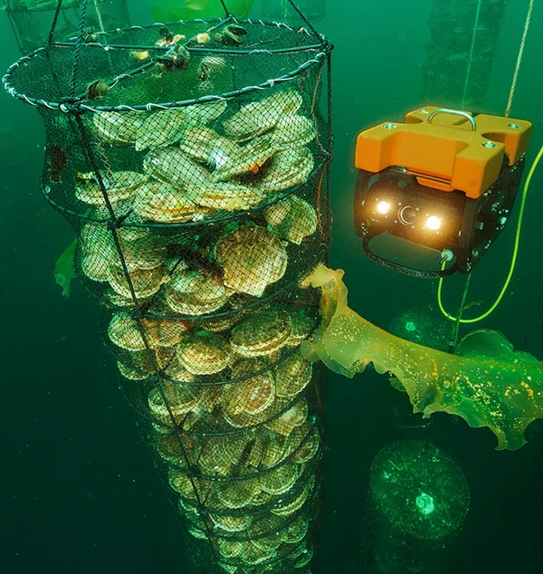 Peru sourcing location